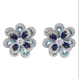 Eye Candy Elegant Silver and‎ Blue Floral Earrings BNWT